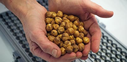 Hands holding hazel nuts