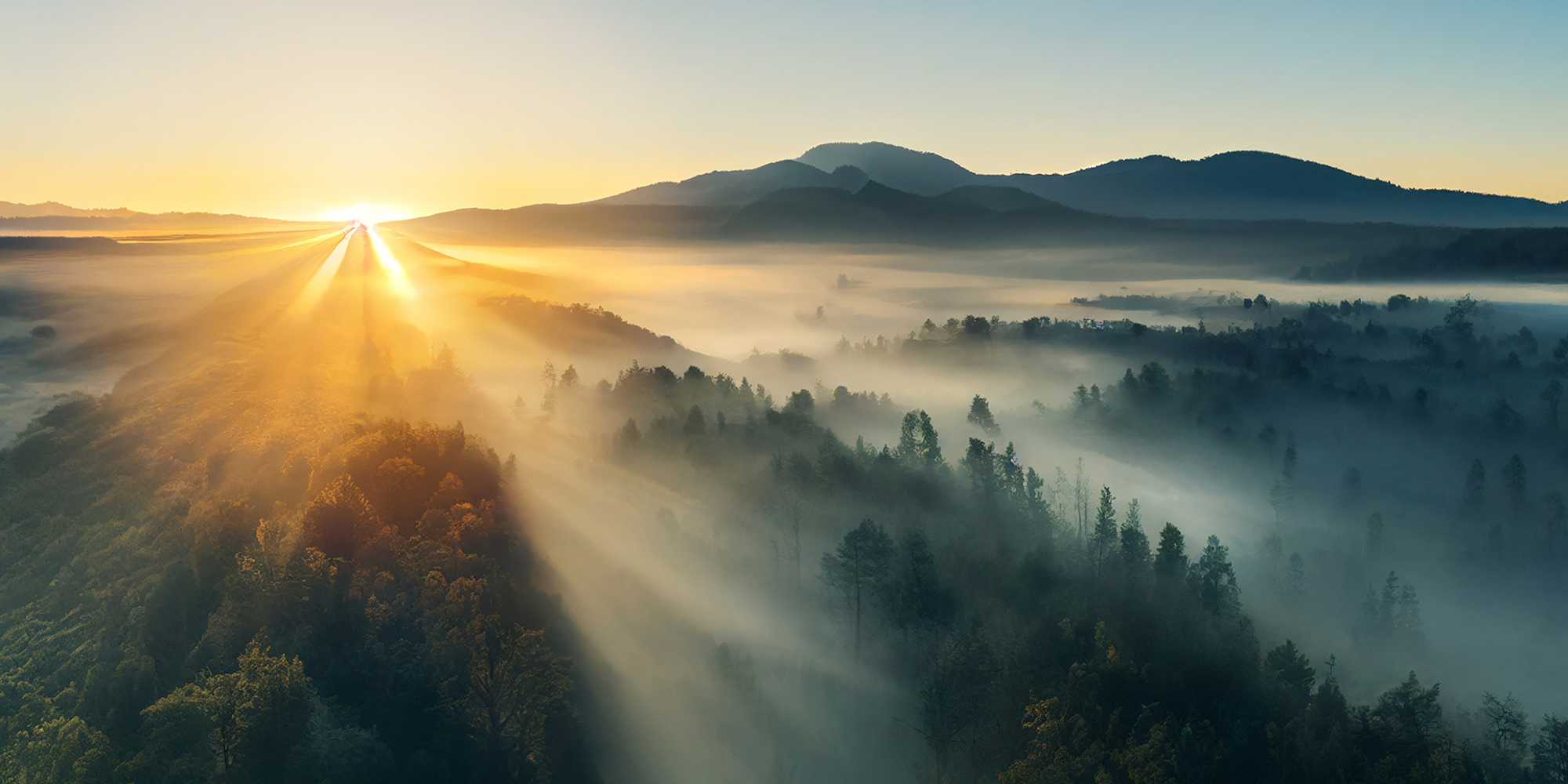 Aerial view of a sun rise with rays shining into misty treetops