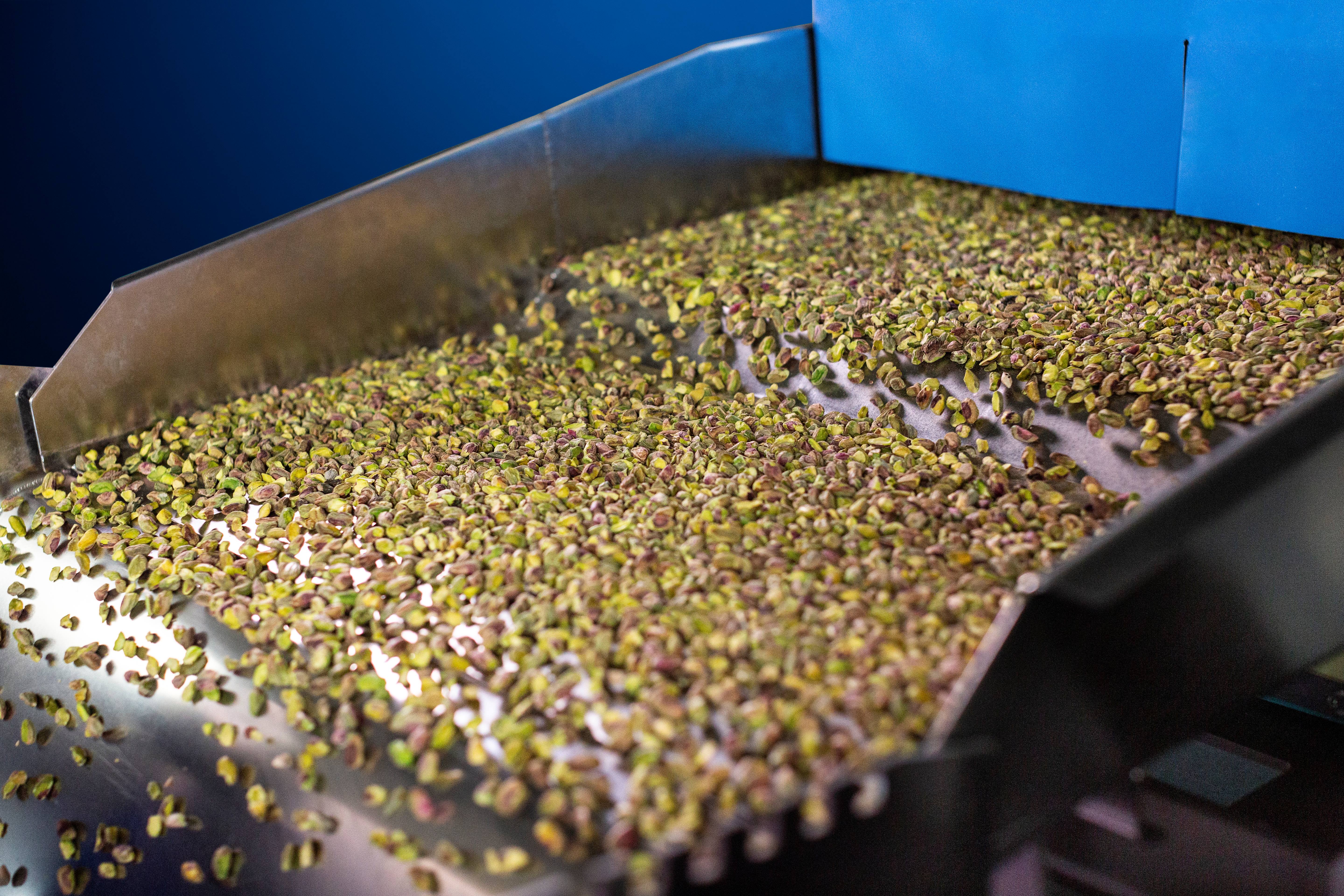 TOMRA 4C infeed shaker full of pistachios